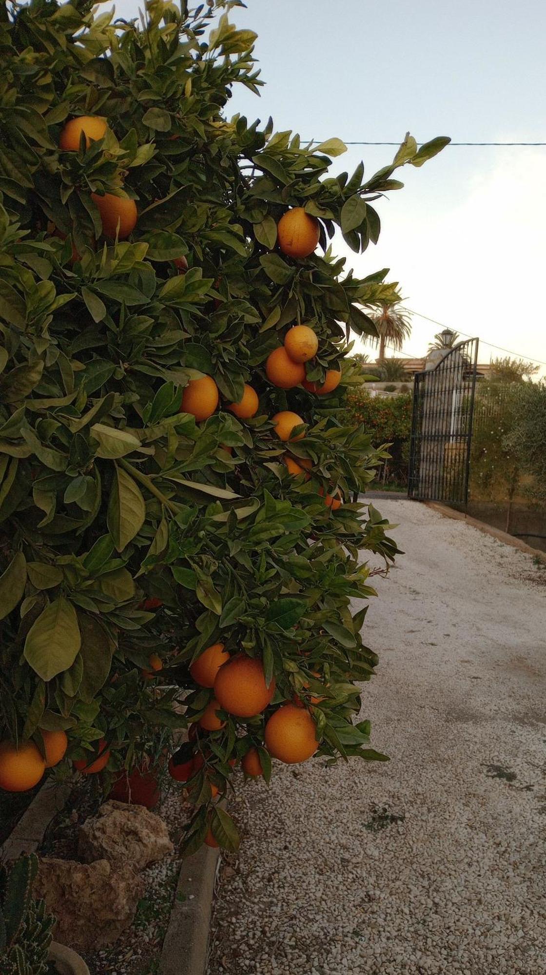 Cortijo Paulenca Vila Almería Exterior foto